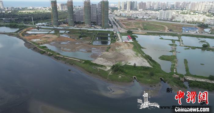 通讯：中国最洁净海域绘就生物迁徙通廊_滨海-北海-广西-