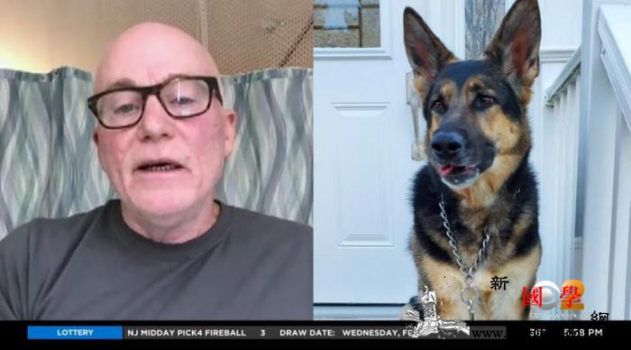 神犬报恩！主人中风倒地德国牧羊犬成功_哥伦比亚-牧羊犬-德国-