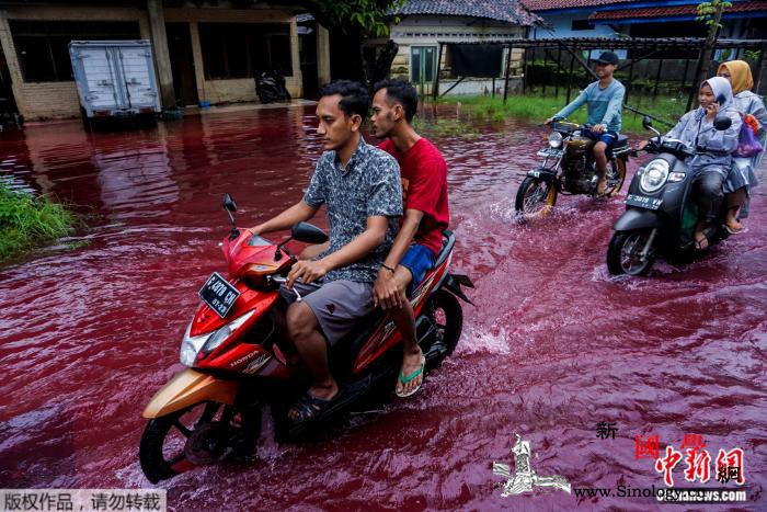 洪水变“红水”？印尼蜡染厂遭水淹意外_爪哇-印尼-蜡染-
