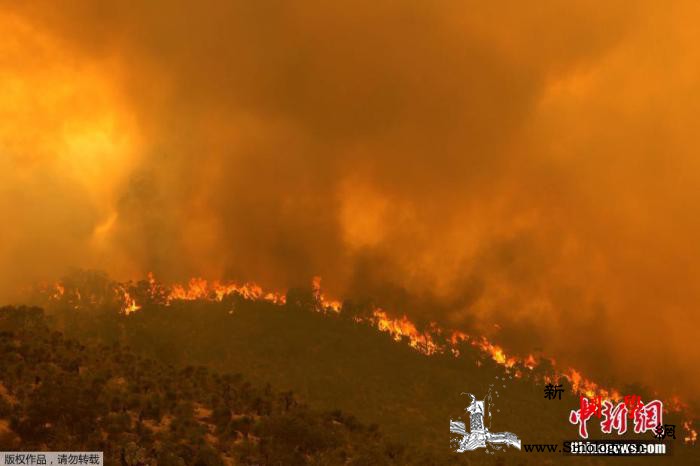 澳大利亚西南部六处林火疑人为引燃大雨_强风-澳大利亚-山脊-