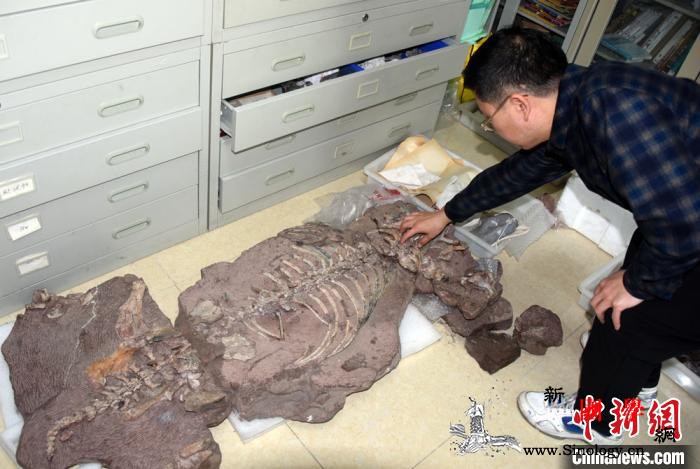 中国发现2.5亿年前九峰吐鲁番兽首个_吐鲁番-兽类-阴山-