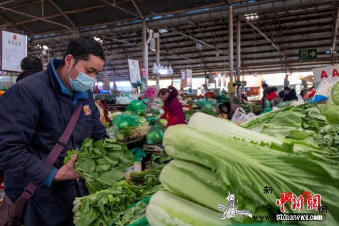 高原蔬菜大棚为西藏民众餐桌“加菜”_白朗县-拉萨-西藏-