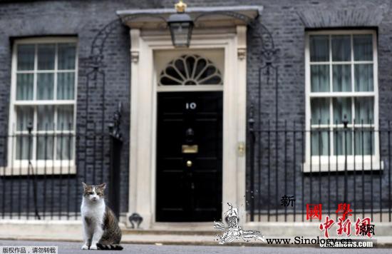 英国“首席捕鼠官”疫情期间长胖兽医建_捕鼠-英国-兽医-