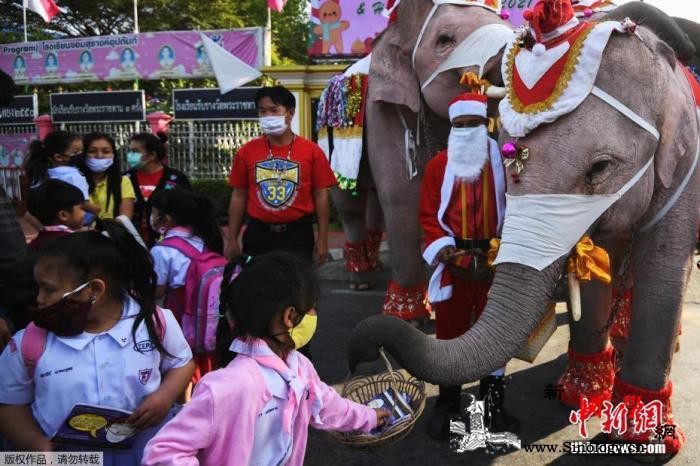 泰国各地庆祝“大象日”_泰国-城府-圣诞-