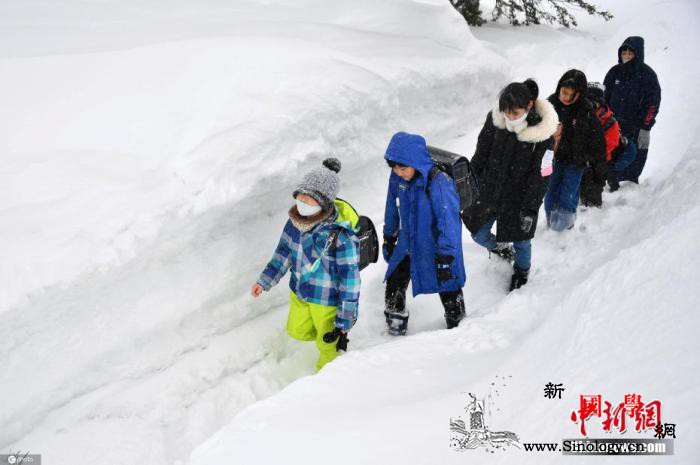日本长野县雪崩致1死2伤同伴遭埋只能_北海道-雪崩-日本-