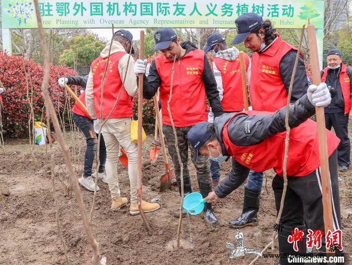 驻鄂外国机构国际友人武汉同植友谊合作_武汉-植树-留学生-