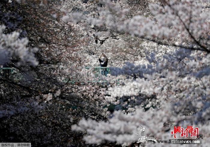 日本政府拟为地方政府旅游刺激措施提供_日本政府-援助-补贴-