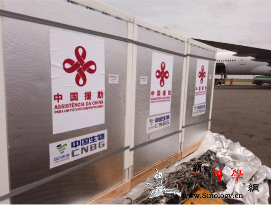 中国援安新冠疫苗运抵安哥拉_运抵-安新-疫情-