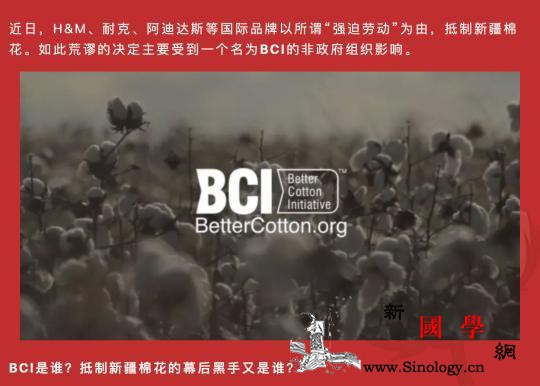 深挖！谁是抵制新疆棉的幕后黑手？_古巴-开发署-美国-