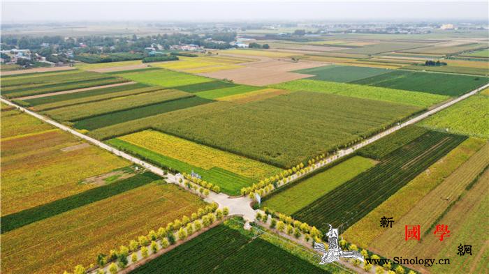 中国五胡入华与欧洲蛮族入侵_法兰克-鲜卑-罗马-