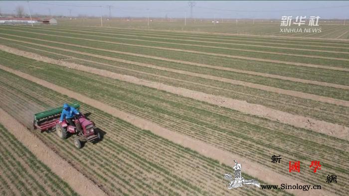 新华全媒+｜春耕进行曲_春种-春耕-出品-