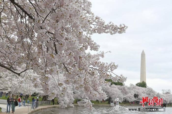 华盛顿特区将成美国第51个州？白宫表_华盛顿-众议院-法案-