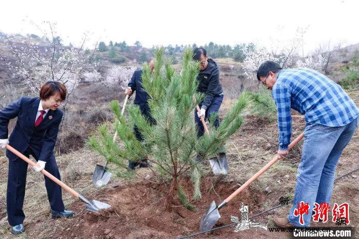 呼和浩特首个检察公益诉讼生态修复林试_挂牌-呼和浩特市-检察-