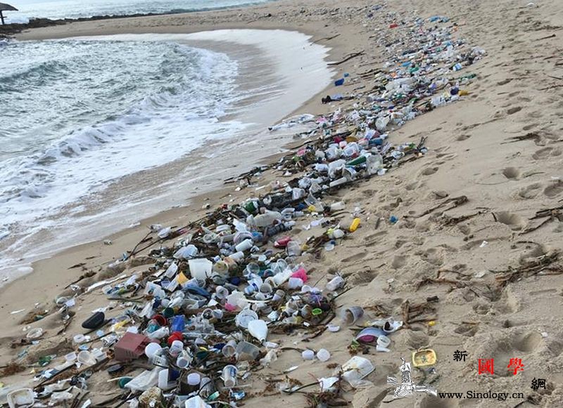 1.5吨垃圾涌现巴西东北部海滩包括针_德州-针管-巴西-