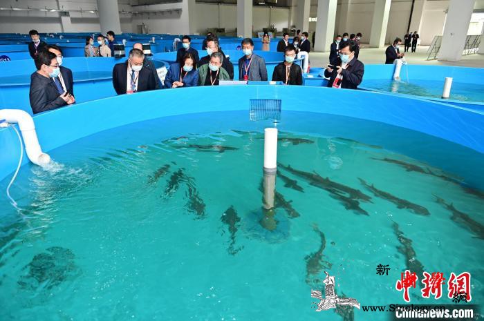 三峡工程首次举行公众“开放日”活动_首次-长江-珍稀-