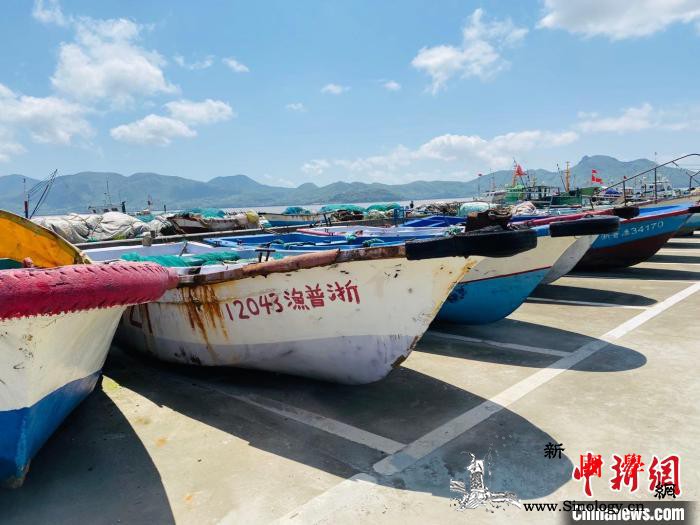 东海之滨的蚂蚁岛精神：守护一座海岛前_岛上-蚂蚁-海岛-
