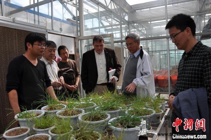中国草地农业生态领域国际联合研究频出_甘肃省-澳大利亚-黄土高原-