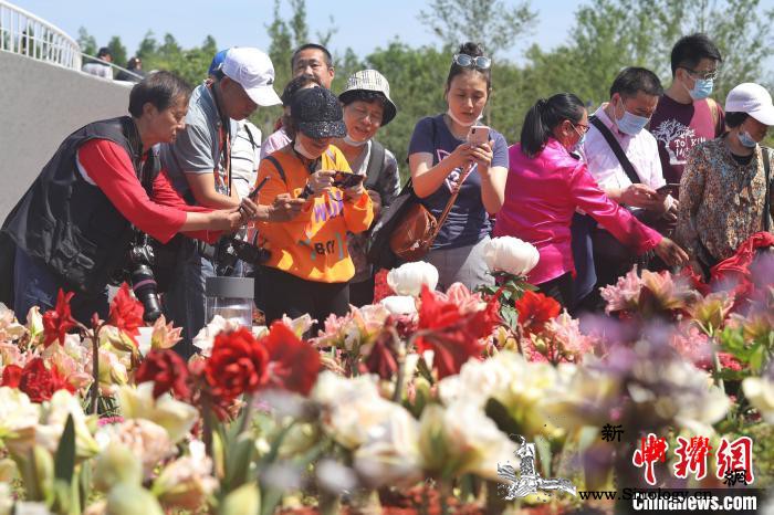 第十届中国花博会开幕首日迎游客两万余_崇明-上海-生态-
