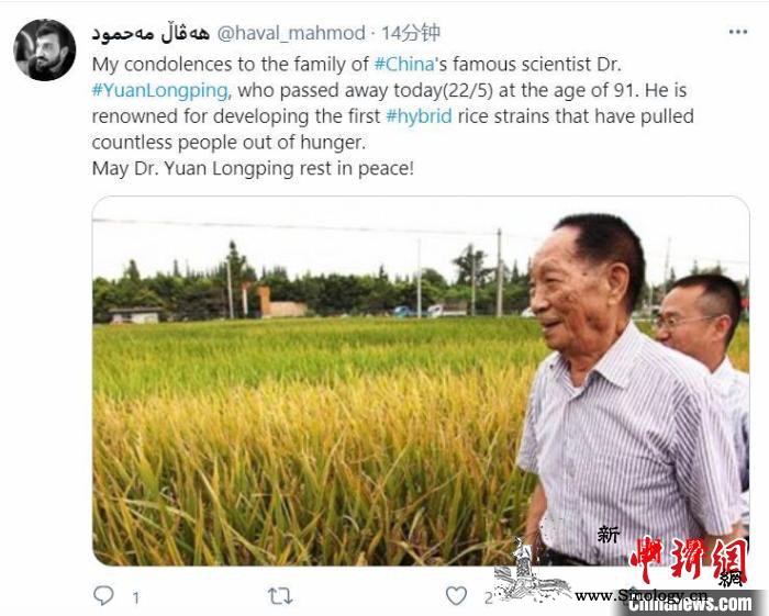 袁隆平逝世国外网友自发悼念_杂交-孟加拉国-逝世-