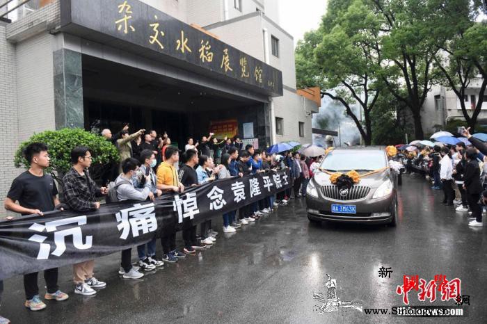 中国网民哀悼“杂交水稻之父”：“饱食_长沙市-享年-杂交-