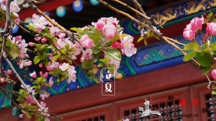春意阑珊处立夏款款来_春江花月夜-腰果-立夏-鸡丁-