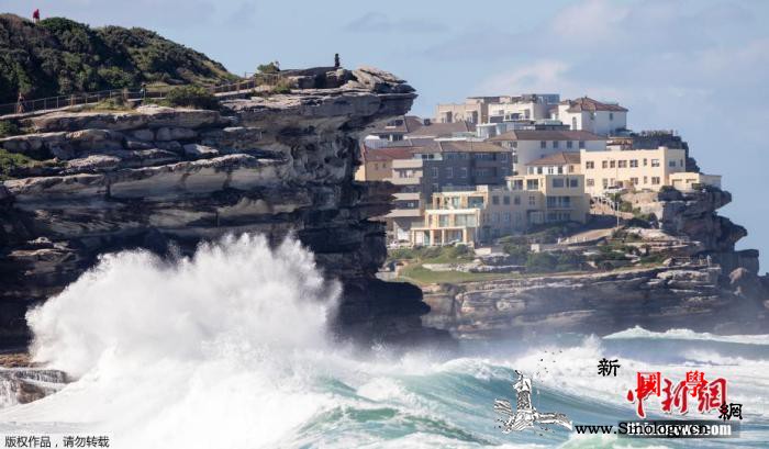 一人观赛后确诊澳大利亚数千球迷需自我_墨尔本-观赛-澳大利亚-