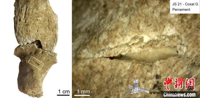 国际最新研究：苏丹一处1.34万年前_贝尔-髋骨-石片-