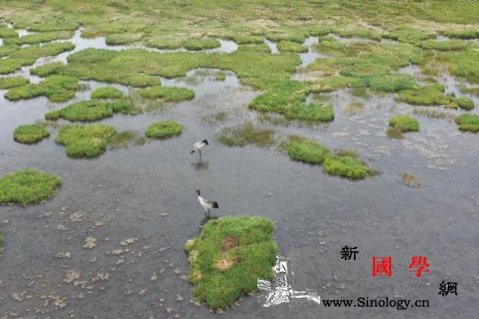 你看青藏高原的“眼睛”水汪汪_甘南-青藏高原-无人机-