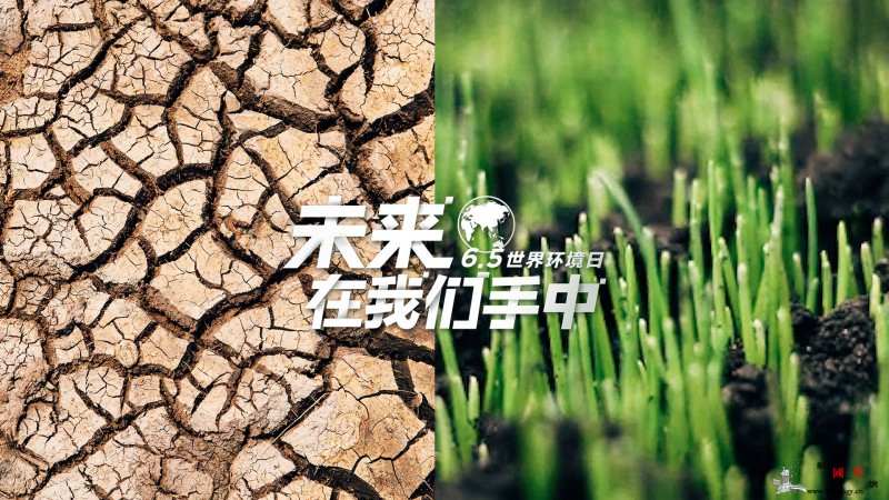 未来在我们手中_最好的-共生-子孙后代-