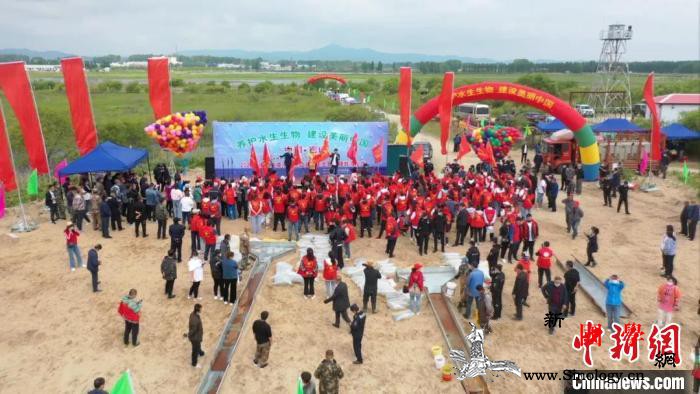 中俄界湖禁渔期放流十余年450多万尾_密山市-禁渔-白鱼-