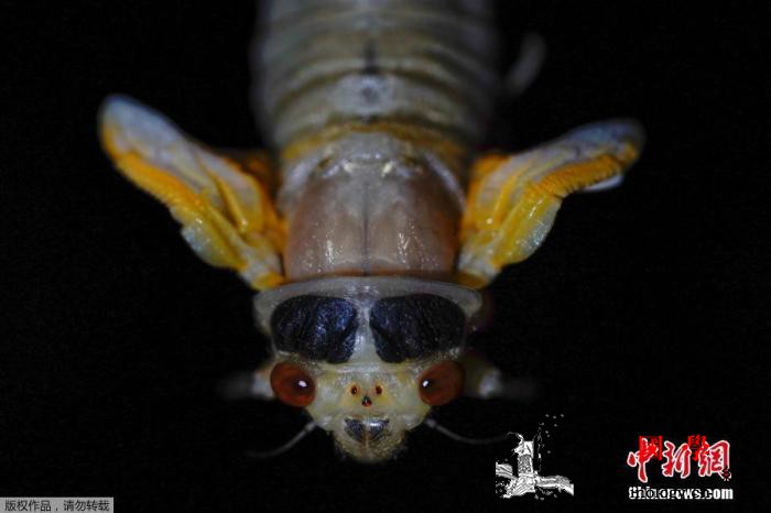 拜登任内首次外访白宫记者团专机却因_马里兰州-白宫-北美洲-