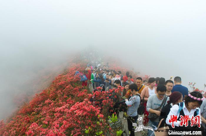 中国生态文明试验区贵州：让绿水青山源_绿水青山-试验区-金山-