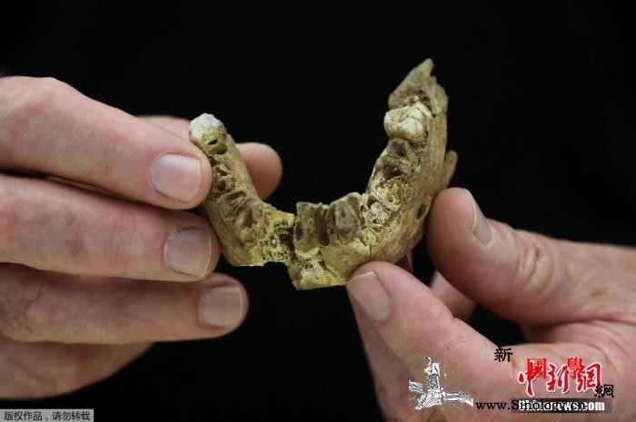 来自十多万年前！以色列发现新型远古人_头骨-化石-年前-