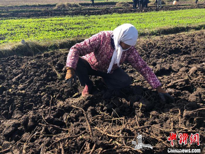 甘肃逾200万名农村妇女受益“两癌”_甘肃-妇女-项目-