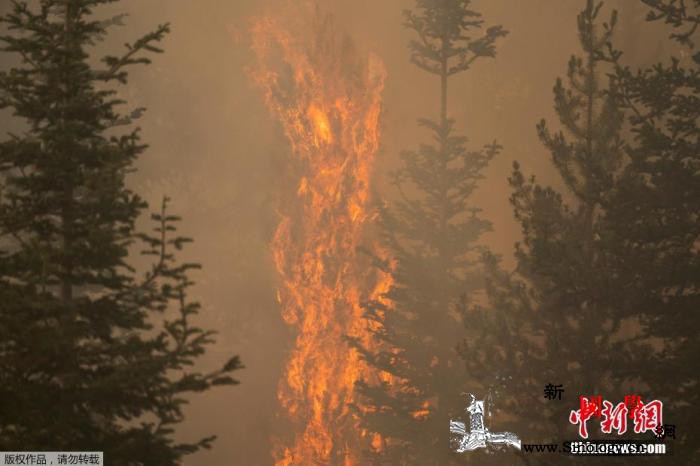 88场大型山火在美国蔓延近6000平_俄勒冈州-山火-疏散-