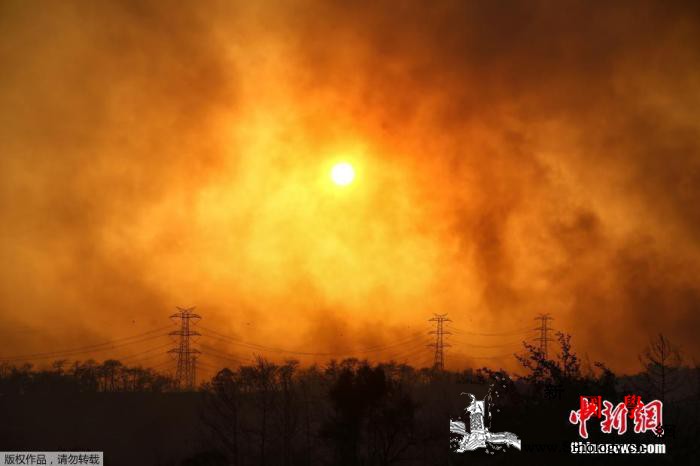 土耳其森林大火持续已造成1人死亡10_米尔-土耳其-居民区-