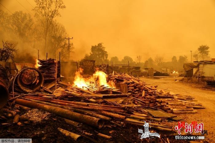 土耳其森林大火已致3人死亡当局调查起_土耳其-野火-森林-