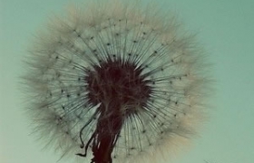 耀一法师：拥抱吉祥：1. 修行者之歌——报答佛的恩_法师-艺术-弘法-下了-大众-法门