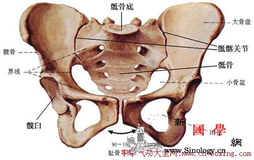 松动骶髂关节的最好方法是练三心并站庄_骶骨-松动-关节-命门-