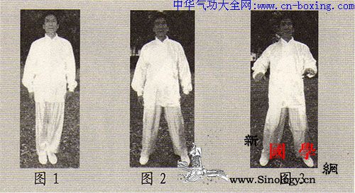 简易养生桩功-苏堂田_养生-简易-握拳-丹田-