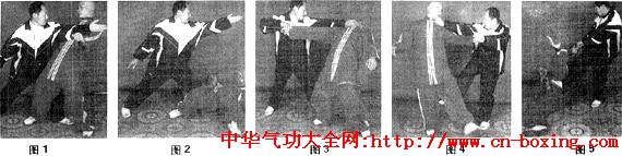 杜飛虎自然門(mén)三十六路殺手_右腳-左腳-向左-左手- ()