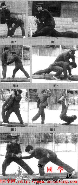 实用制拿十一招_长枪-向我-向下-协同-