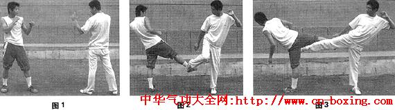 戳脚腿法格斗精粹_转体-脚掌-右腿-脚尖-