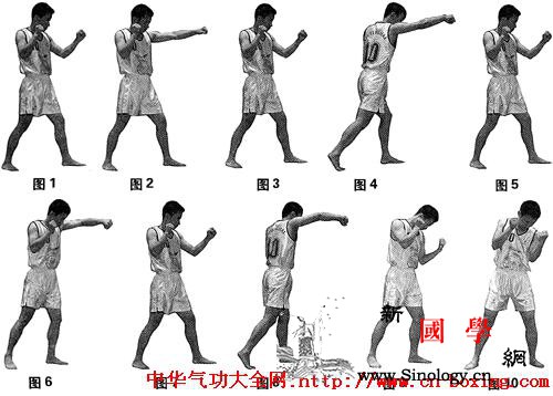 散打基本拳法和摔法_拳法-散打-上体-摔倒-