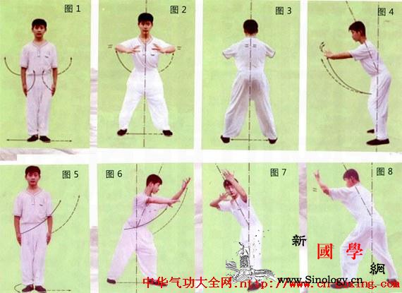 卢氏结构基本桩功实修训练入门_卢氏-阳面-结构-上体-