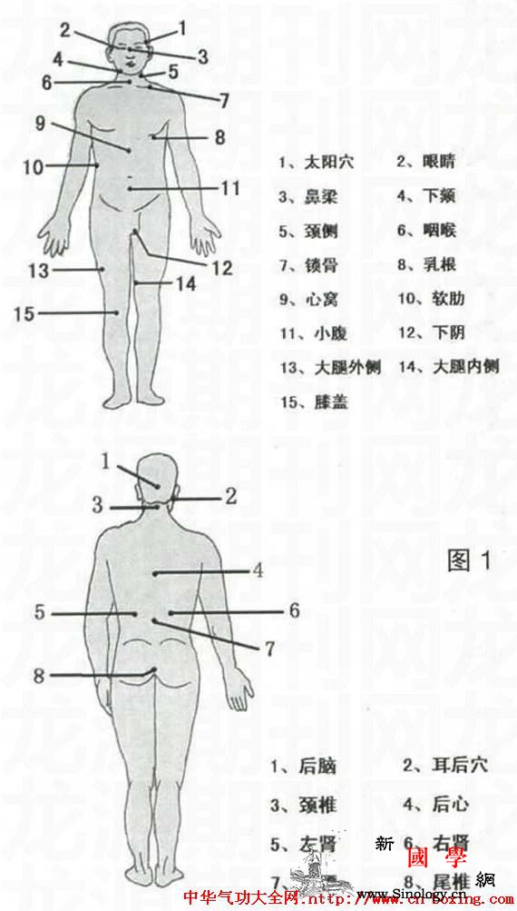 西江白眉拳之实战应用_三星-西江-转体-屈膝-