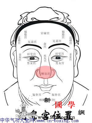 面相之财帛宫_财帛-面相-鼻头-经商- ()