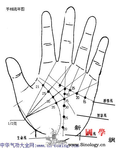 如何看手相流年_从实-手相-生命线-食指-