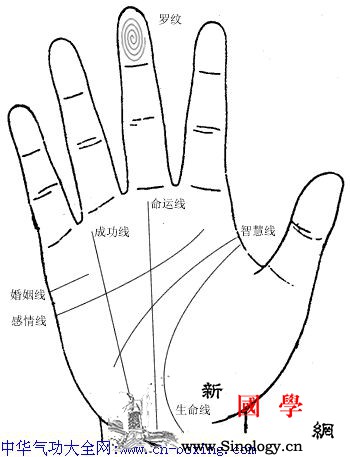 手相学基本知识_根部-隆起-基本知识-部位-