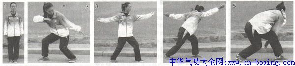 劈挂拳小套-金婵娥_弓步-上体-向右-手心- ()